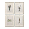 Jonathan Charles Vintage Marine Animals - Set of 4