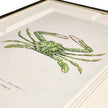 Jonathan Charles Vintage Marine Animals - Set of 4