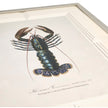 Jonathan Charles Vintage Marine Animals - Set of 4