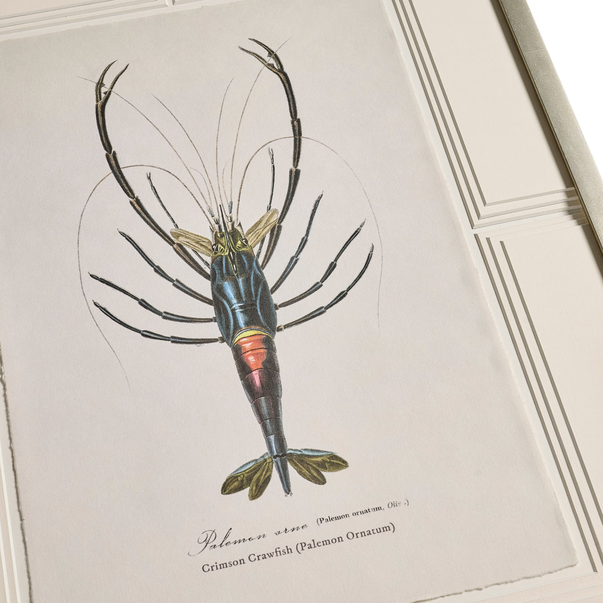 Jonathan Charles Vintage Marine Animals - Set of 4