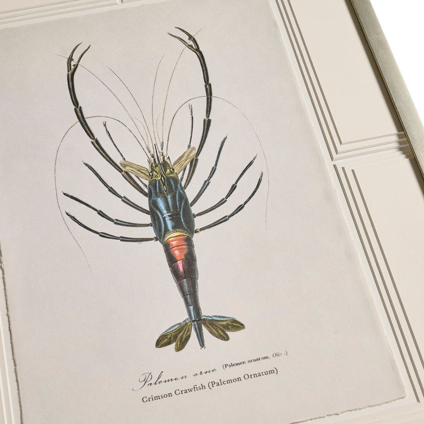 Jonathan Charles Vintage Marine Animals - Set of 4