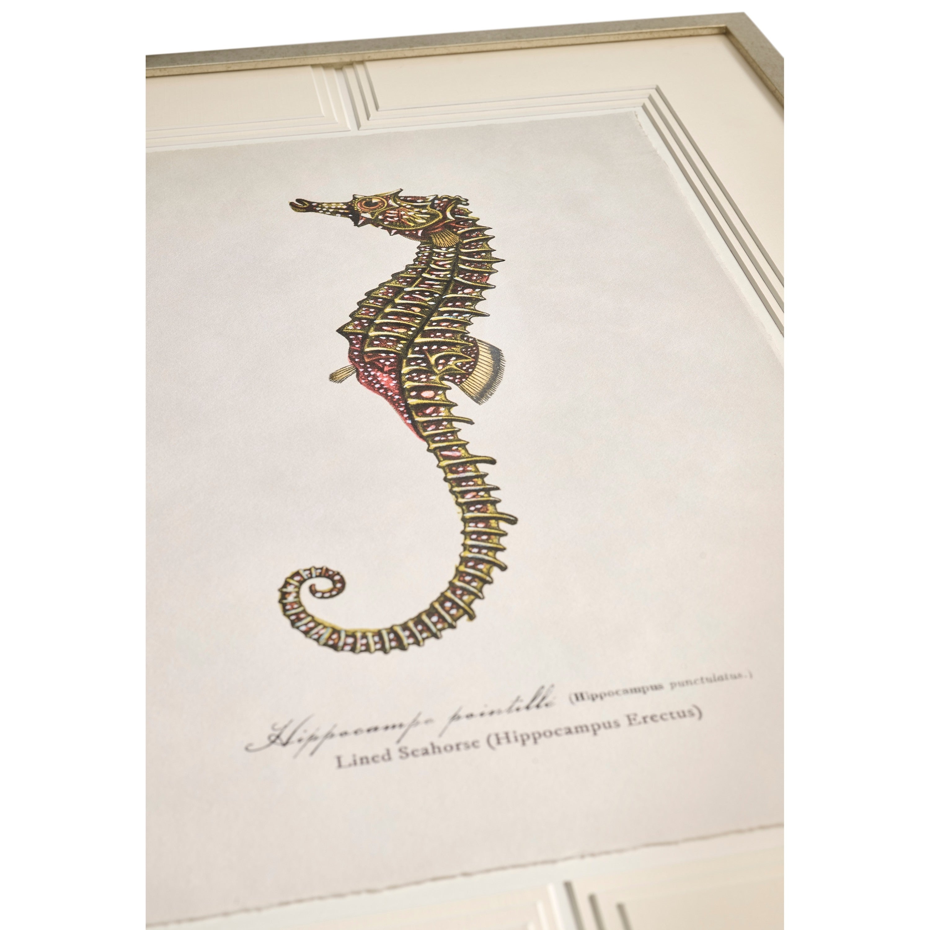Jonathan Charles Vintage Marine Animals - Set of 4