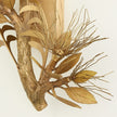 Global Views Albizia Wall Sconce Clearance