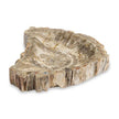 Maitland Smith Large Brown Petrified Bowl