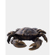 Global Views Lumpur Crab Sculpture