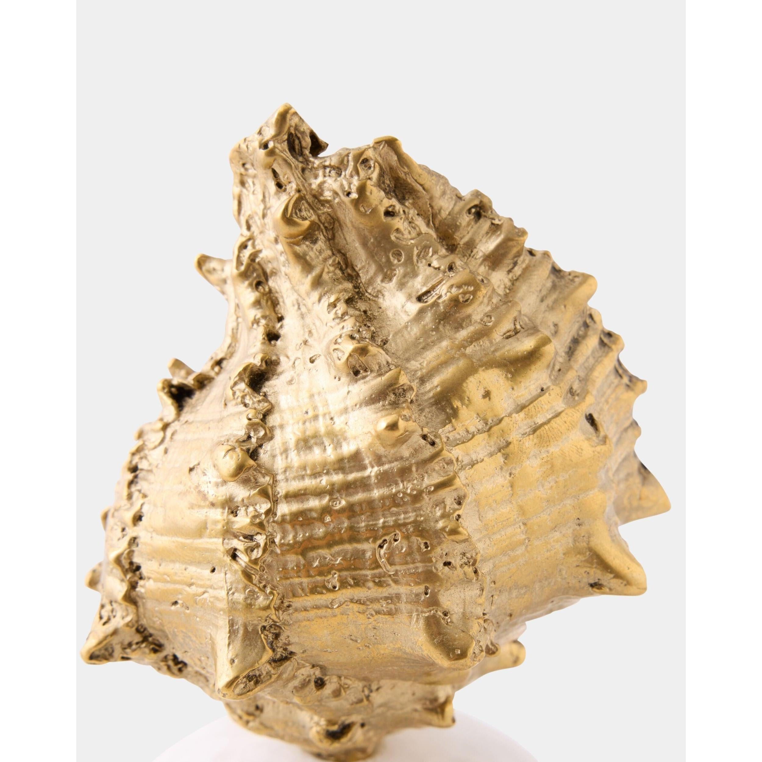 Global Views Kings Crown Shell Sculpture