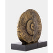 Global Views Ammonite Shell Bookends