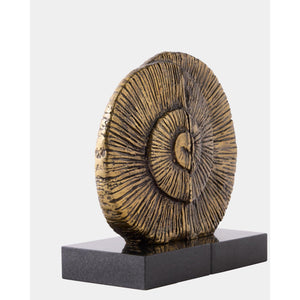 Global Views Ammonite Shell Bookends