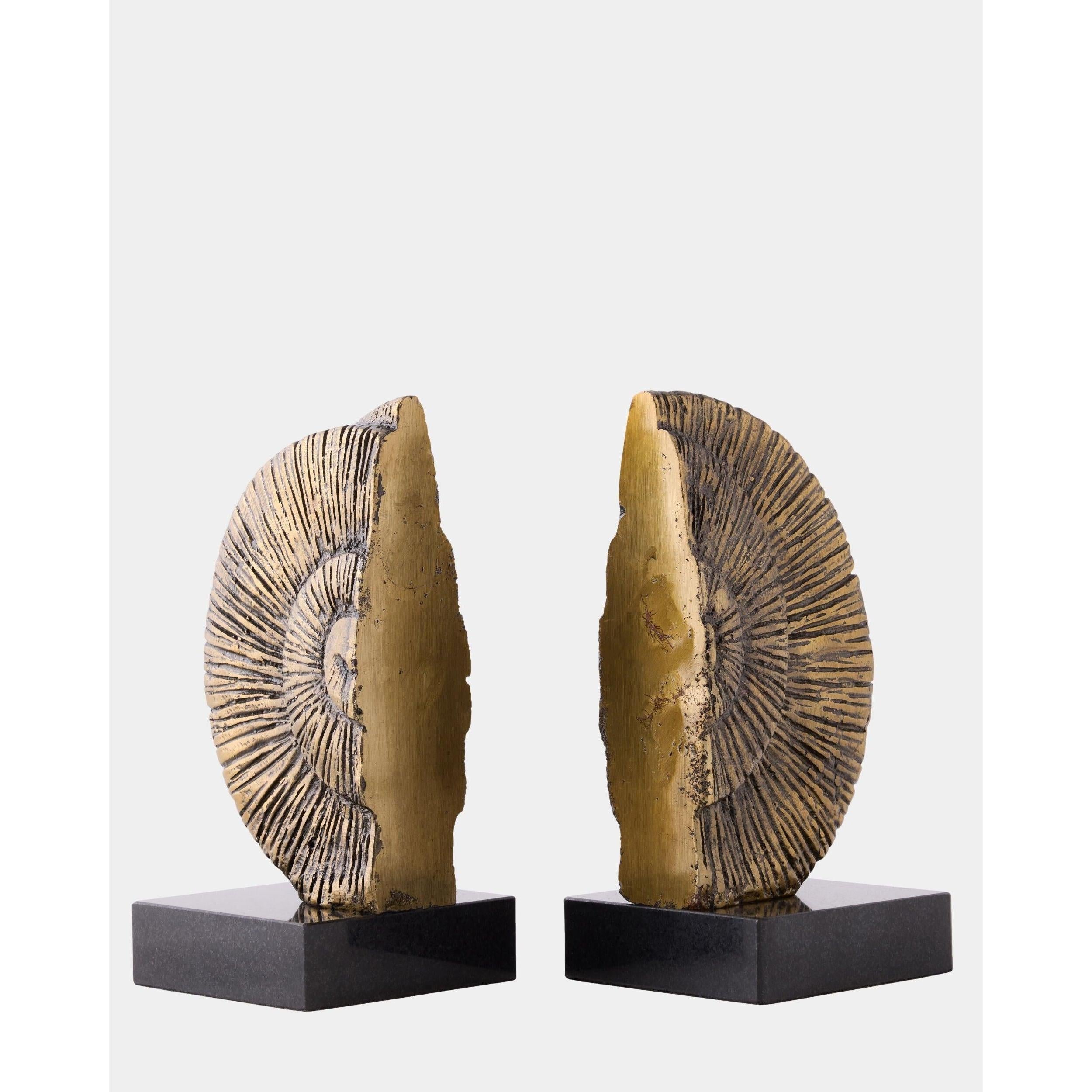 Global Views Ammonite Shell Bookends