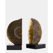 Global Views Ammonite Shell Bookends