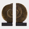 Global Views Ammonite Shell Bookends