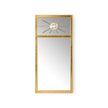 Chelsea House Crystal Trumeau Mirror