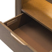 Michael Amini Portrait 1-Drawer Nightstand with LED Lights - Sienna Brown