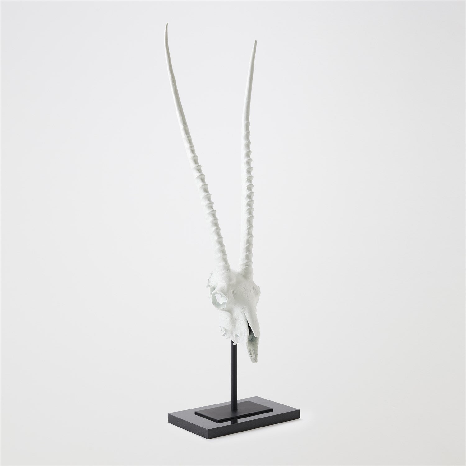 Global Views Matte White Gemsbok Skull Sculpture