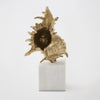 Global Views Brass Spider Conch Shell Sculpture