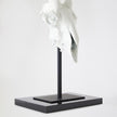 Global Views Matte White Gemsbok Skull Sculpture