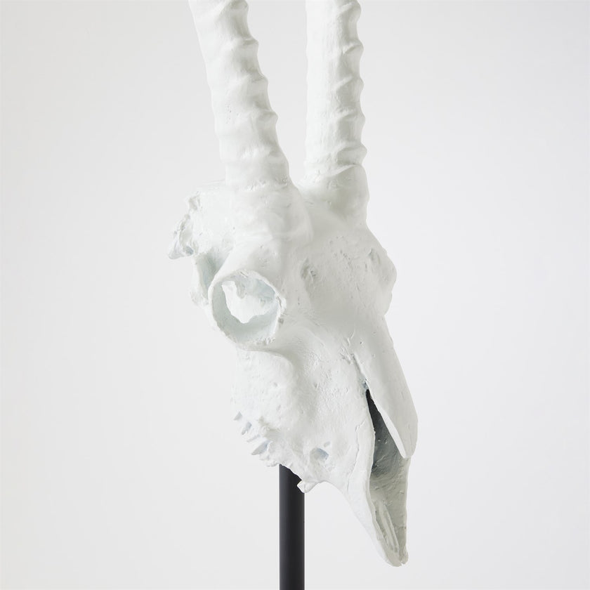 Global Views Matte White Gemsbok Skull Sculpture