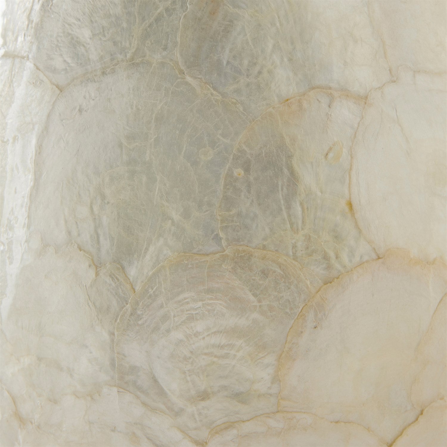 Global Views Gray Abalone Shell Scaled Lamp