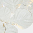 Global Views Fiddle Fig Lighted Wall Decor