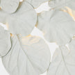 Global Views Fiddle Fig Lighted Wall Decor