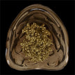 John Richard Corallo Wall Sconce