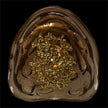 John Richard Corallo Wall Sconce