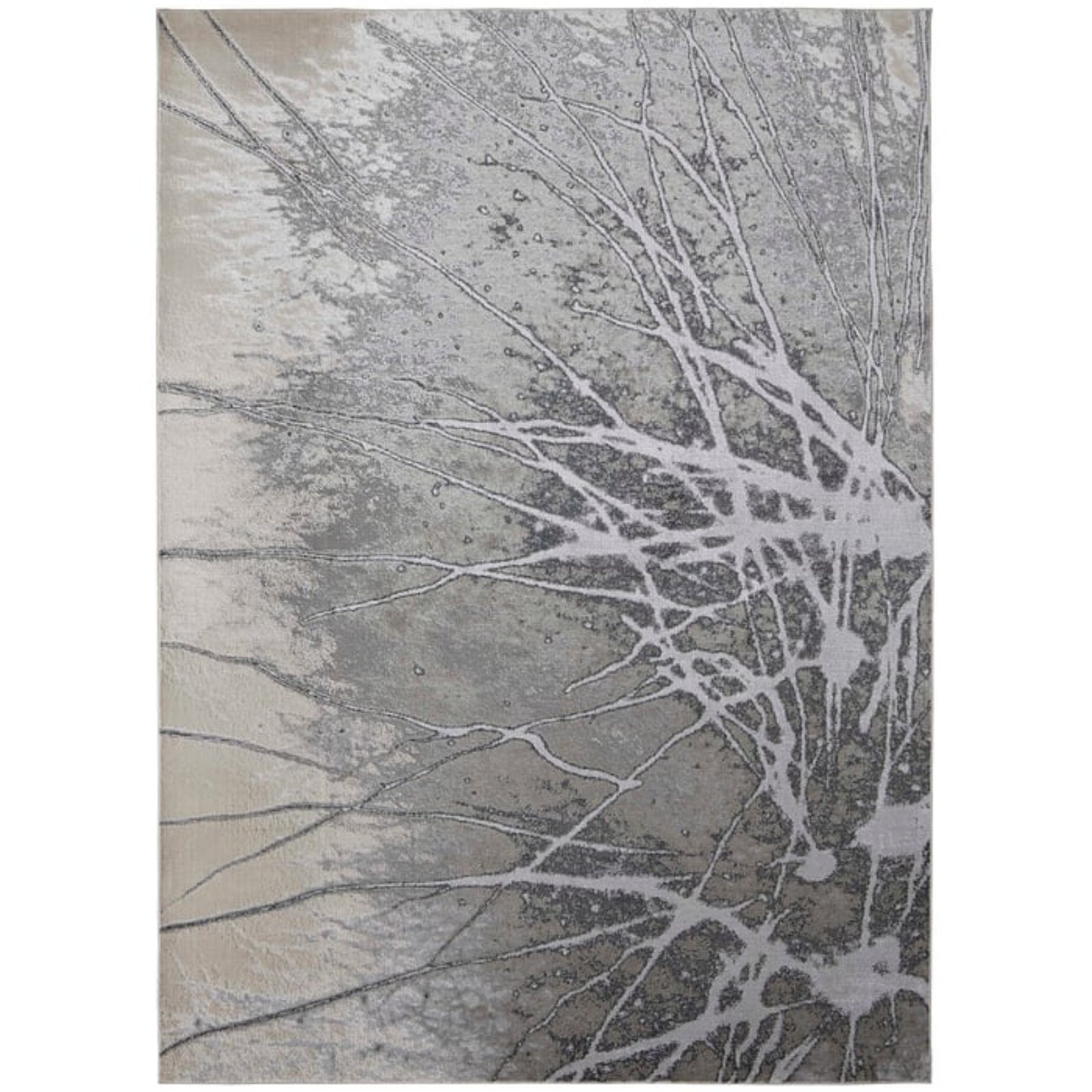 Feizy Astra 39L5F Rug