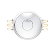 Christofle Les Collections Historiques Silver Plated Bowl With Gilded Handles 36 Cm Fjerdingstad