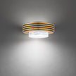 Schonbek Zircle BFM82408 Flush Mount