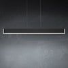 Schonbek Mystique BPD47242 Linear Pendant