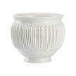 Chelsea House Sigaro Bowl