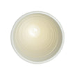 Chelsea House Increspatura Vase