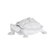 Chelsea House White Turtle