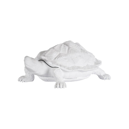 Chelsea House White Turtle