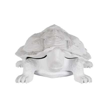 Chelsea House White Turtle