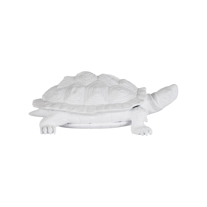 Chelsea House White Turtle