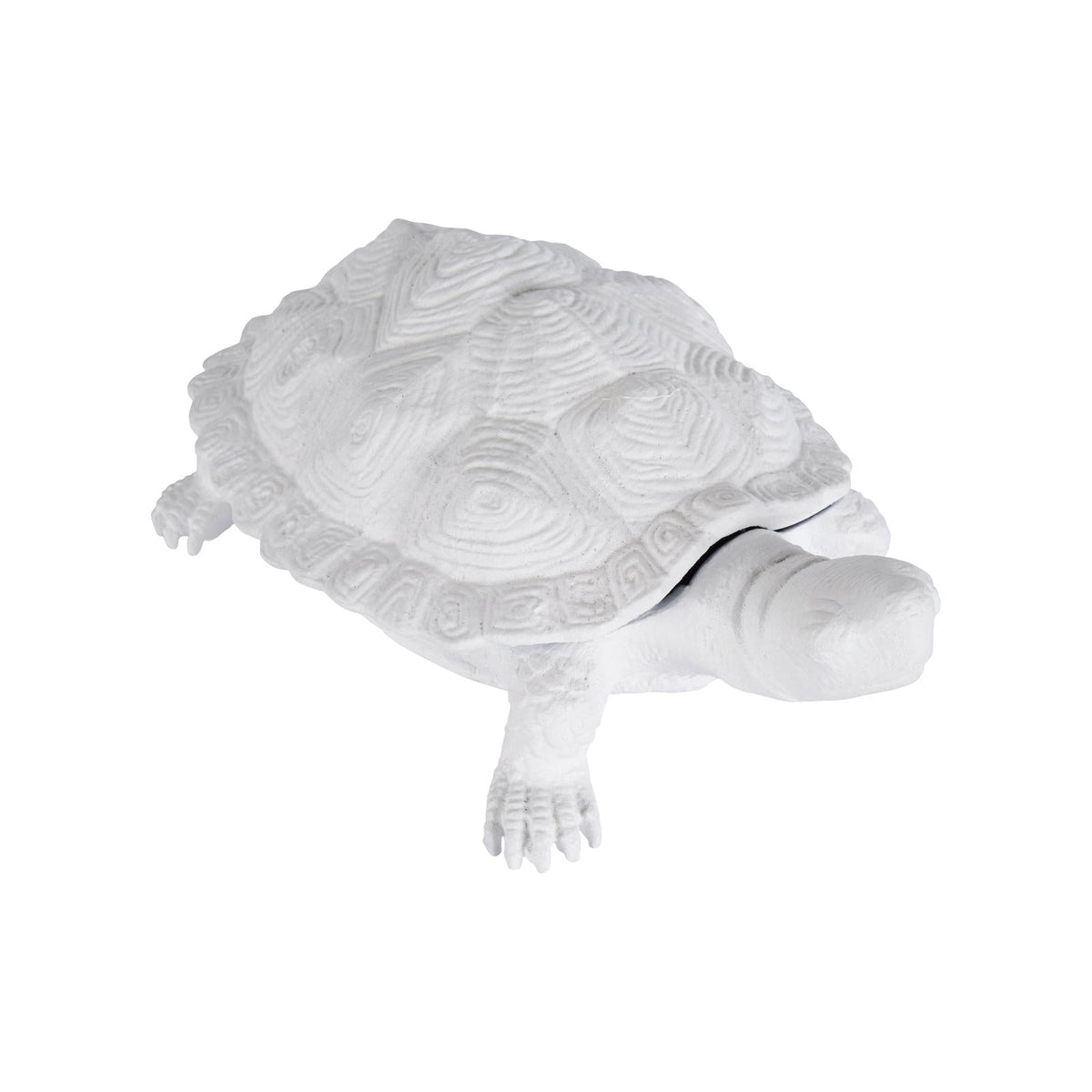 Chelsea House White Turtle
