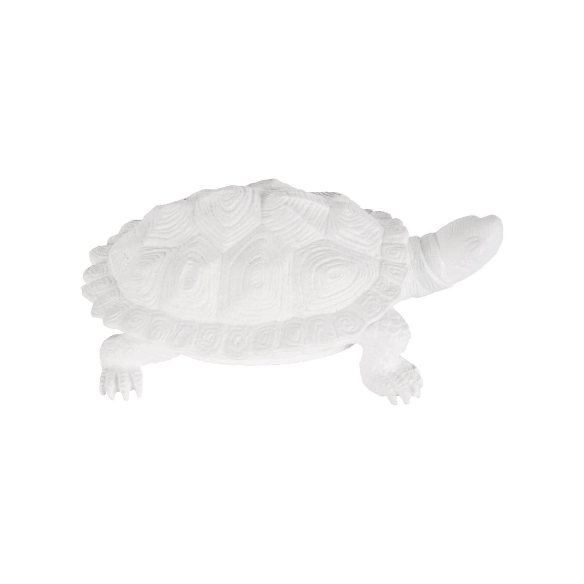 Chelsea House White Turtle