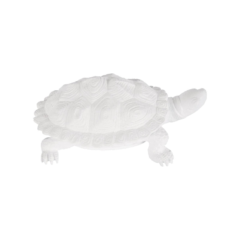 Chelsea House White Turtle
