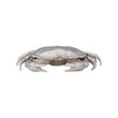 Chelsea House Sebastian Crab