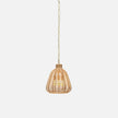Ashley Hanging Pendant