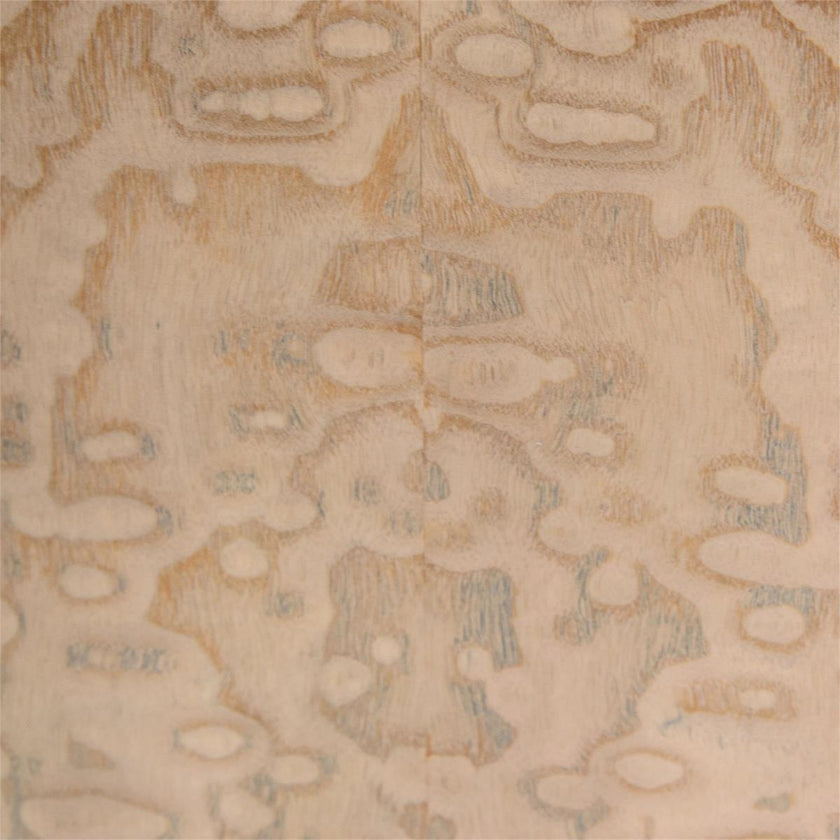John Richard Butterfly Chest