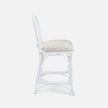 Carina Counter Stool