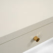 Jarin Modern Designer Desk