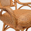 Katalina Swivel Counter Stool