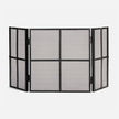Rayne Fireplace Screen