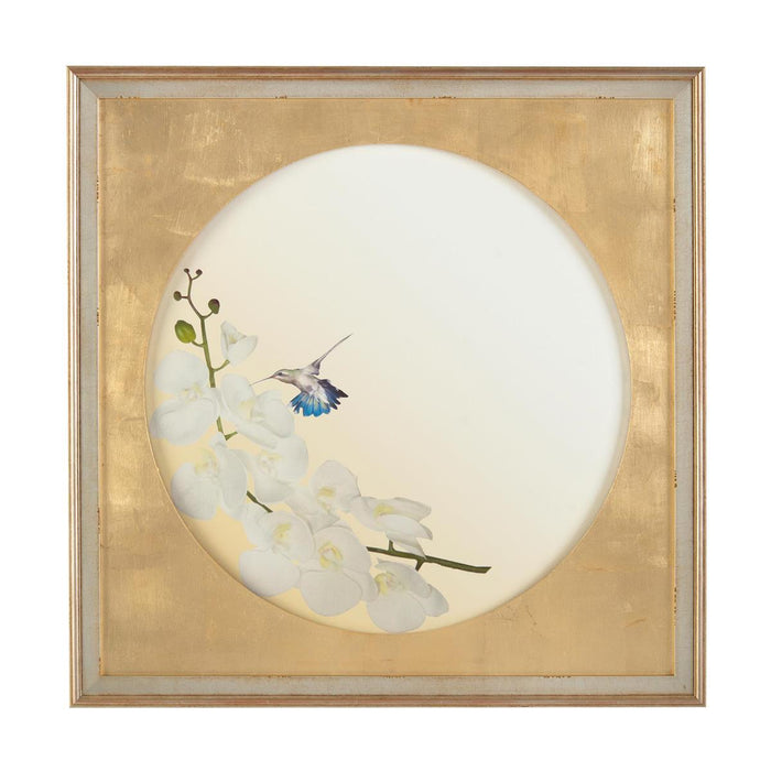 John Richard Hummingbirds In Flight I Wall Art