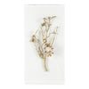 John Richard Gold Calcite I Wall Art