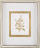 John Richard Decor Golden Botanicals I