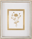 John Richard Decor Golden Botanicals II